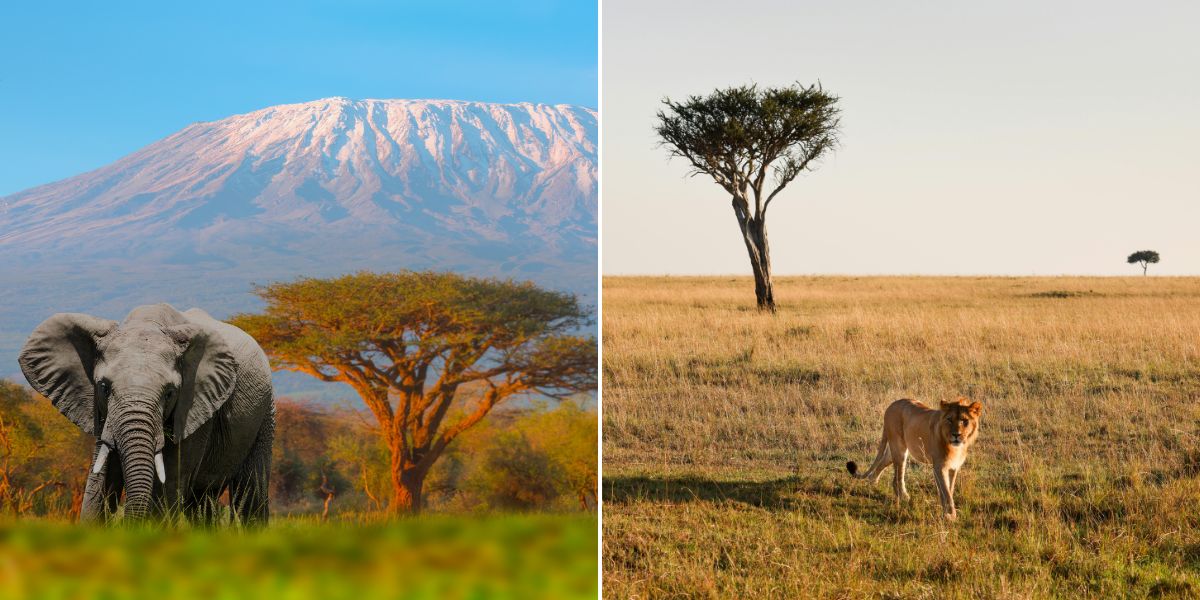 Tanzania Kenya Tour Package from Nepal